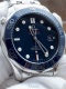 Seamaster 300 Co-Axial