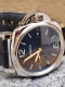 Panerai Luminor Due 42 Blue