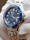 Seamaster 300 Co-Axial