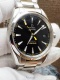 Seamaster Aqua Terra 15,000 Gauss