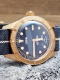 Oris Carl Brashear 401 Bronze