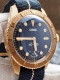 Carl Brashear 401 Bronze