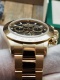 Daytona Yellow Gold