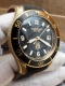 Iced Sea Bronze Diver