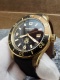 Iced Sea Bronze Diver